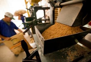 Município de Camaquã também se destaca na produção de arroz PEDRO REVILLION/PALÁCIO PIRATINI