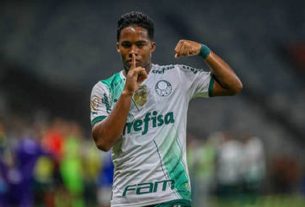 Endrick marcou o gol do título brasileiro do Palmeiras