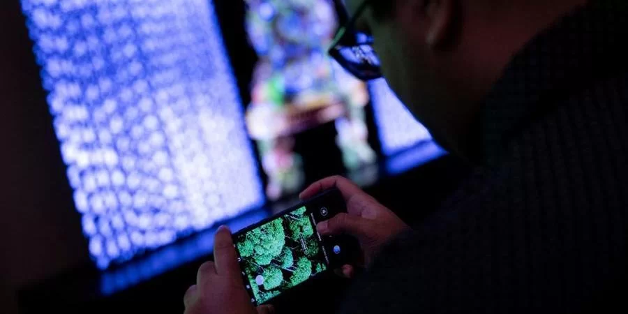 Inquérito foi instaurado a partir de uma denúncia anônima