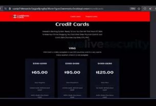 Exemplo de venda de cartões de crédito ma Deepweb. Foto: Reprodução