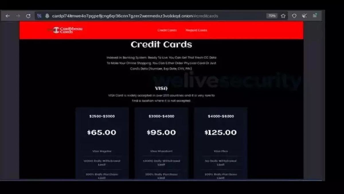 Exemplo de venda de cartões de crédito ma Deepweb. Foto: Reprodução