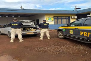 A droga apreendida poderia gerar mais de 250 mil reais ao crime Foto: PRF/Divulgação