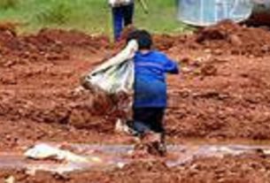 Mato Grosso do Sul lidera as ocorrências de trabalho infantil Foto: Marcello Casal Jr.