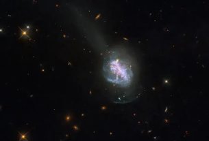 Nova imagem do Telescópio Espacial Hubble da NASA revela a galáxia compacta azul luminosa chamada ESO 185-IG013 Nasa