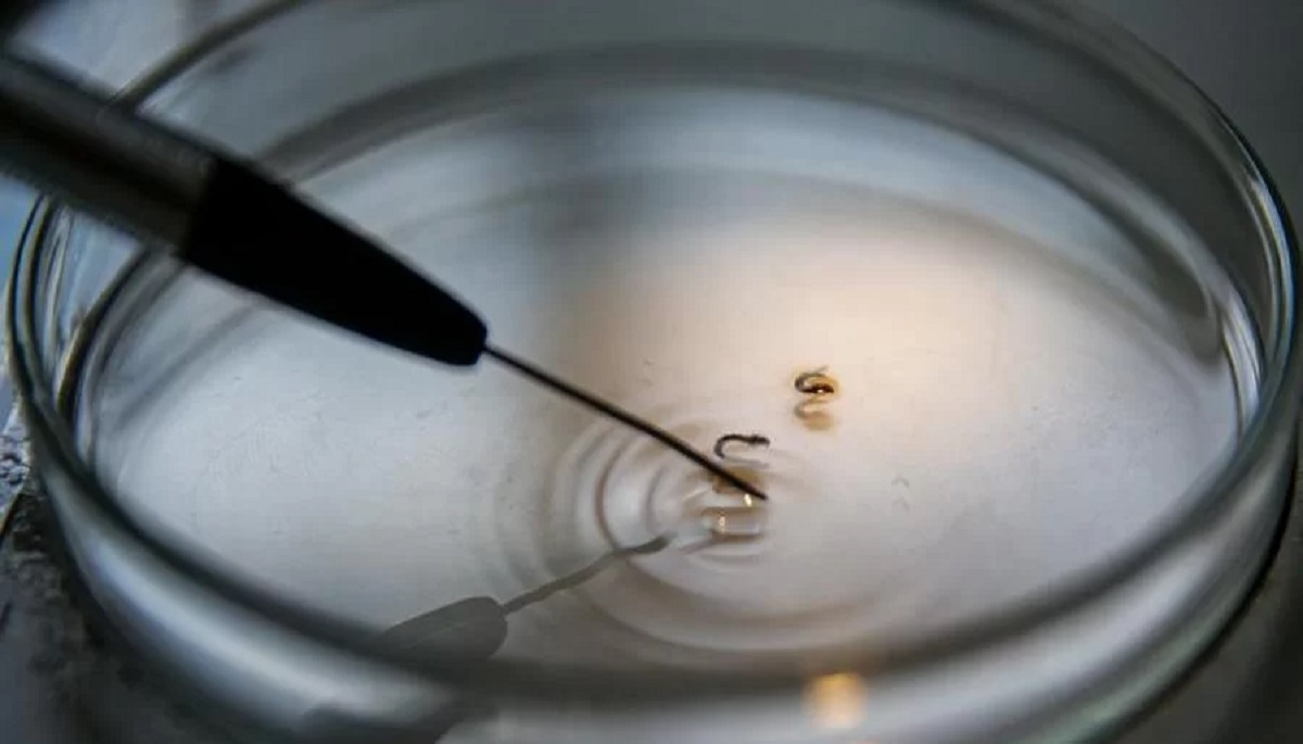 Mobilização é para reforçar ações de prevenção e eliminação dos focos