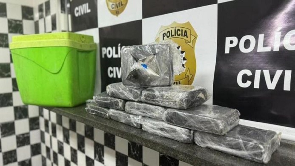 Droga foi colocada em uma maleta térmica que estava dentro de uma caixa d'água | Foto: Divulgação/Polícia Civi