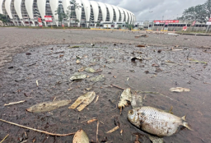 Fotos impressionantes mostram a destruição do gramado do Beira-Rio, em Porto Alegre