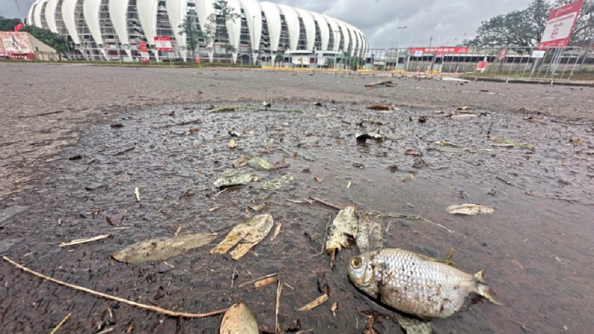Fotos impressionantes mostram a destruição do gramado do Beira-Rio, em Porto Alegre