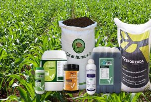 Os diferentes tipos de fertilizantes e como funcionam