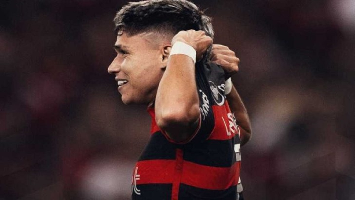 Luiz Araújo marcou os dois gols do Flamengo
