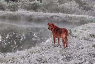Julho vai começar congelante nos estados do sul do Brasil - Foto: Iara Puntel / MetSul