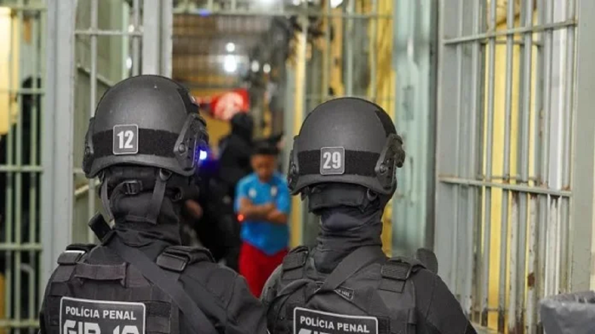 Imagem registrada em abril mostra quarta fase da Operação Mute no RS