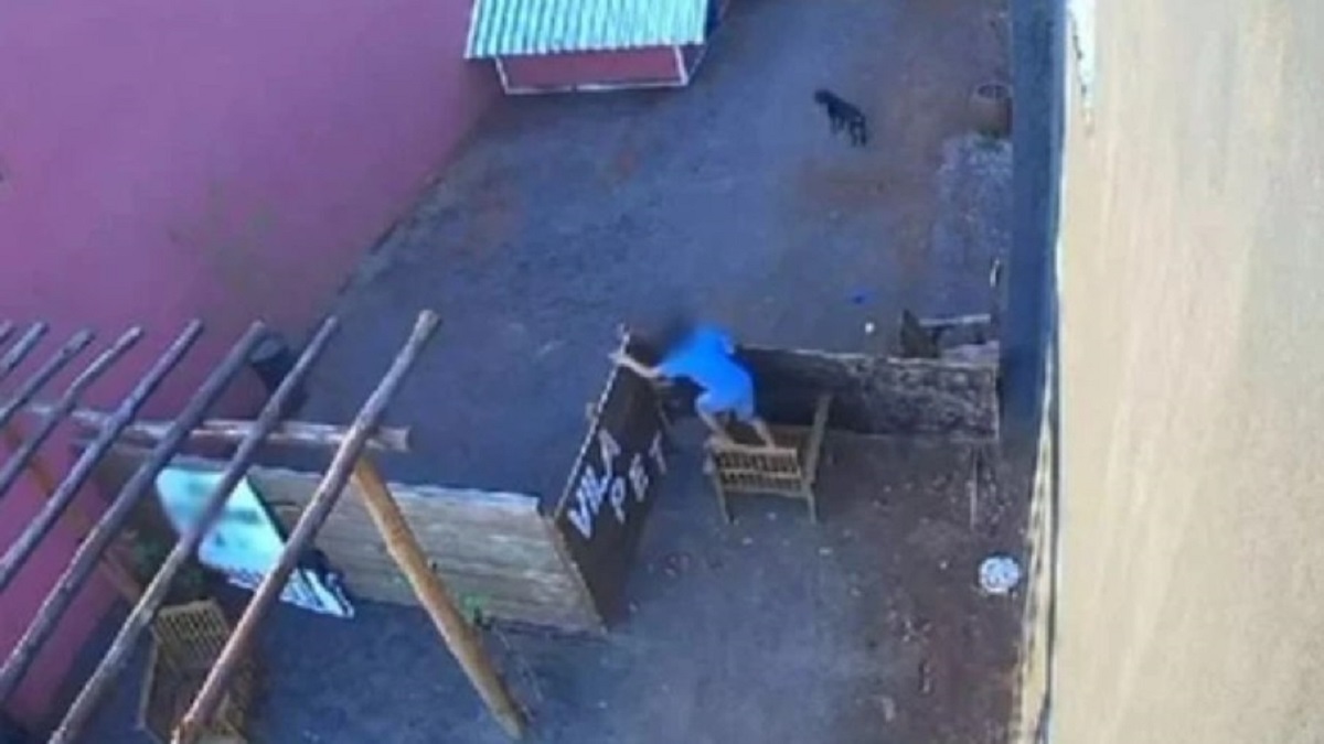 Câmera de segurança flagrou momento em que a criança invadiu o local