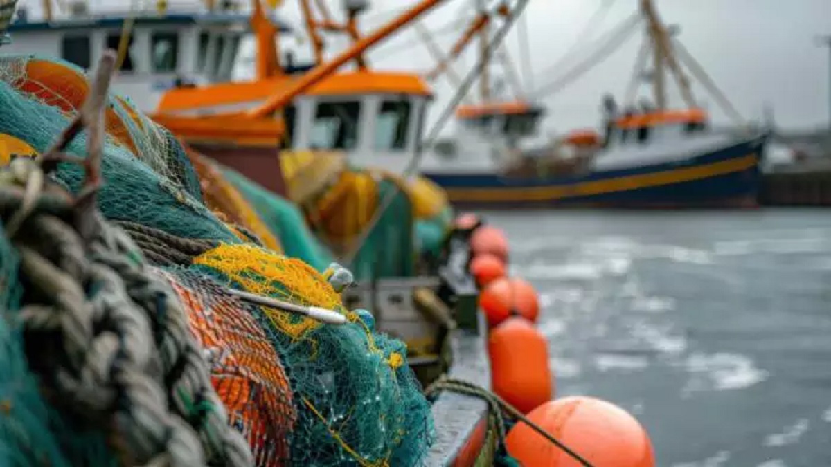 O defeso é a paralisação temporária da pesca para a preservação das espécies