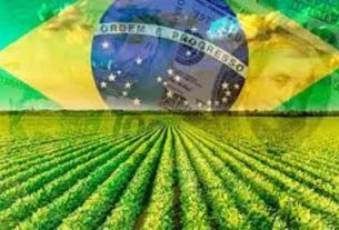 Conheça fraudes envolvendo a engorda de bois, venda de grãos e avestruz e fazendas invisíveis que geraram prejuízos bilionários desde a década de 1990 no Brasil Leia mais em: https://forbes.com.br/forbesagro/2024/12/4-grandes-golpes-no-agro-que-prejudicaram-produtores-e-investidores/