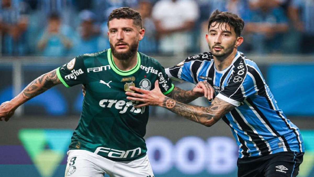 Villasanti em partida entre Grêmio x Palmeiras. Foto: Maxi Franzoi/AGIF