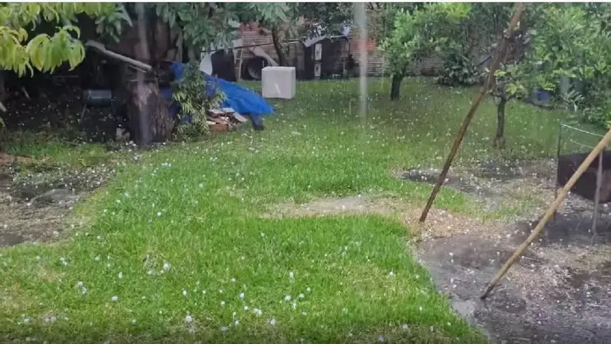 Pelo menos 15 municípios gaúchos registraram danos em razão da queda de granizo que atingiu o Rio Grande do Sul na quinta-feira (2)