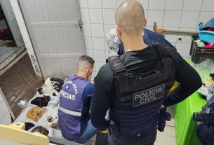 Investigação apura desvio de valores doados a instituto de suposta proteção de bichos