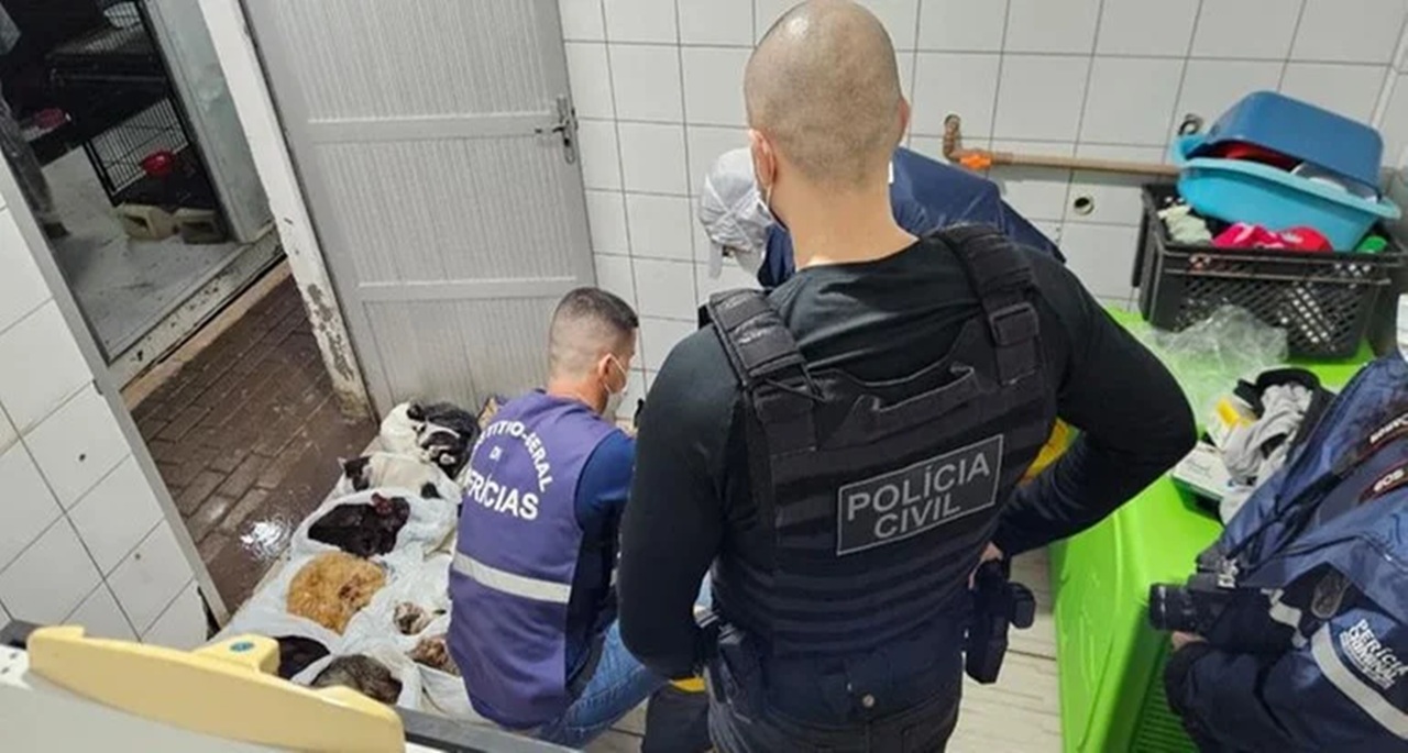 Investigação apura desvio de valores doados a instituto de suposta proteção de bichos