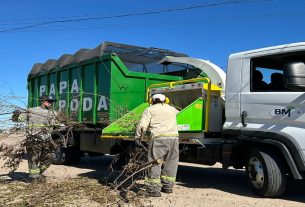 Caminhão papa podas em Camaquã