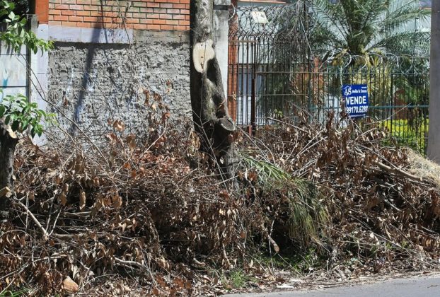 RETIRADA RESTOS DE PODAS EM CAMAQUÃ