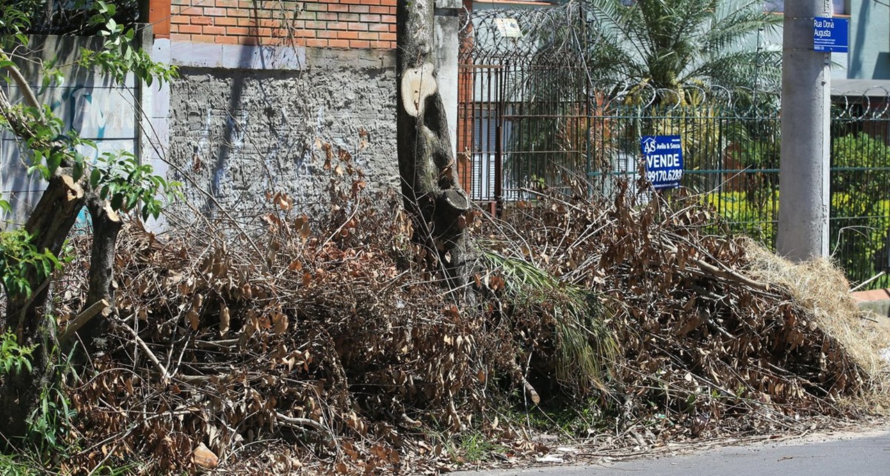 RETIRADA RESTOS DE PODAS EM CAMAQUÃ