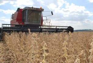 Colheita de Soja no RS