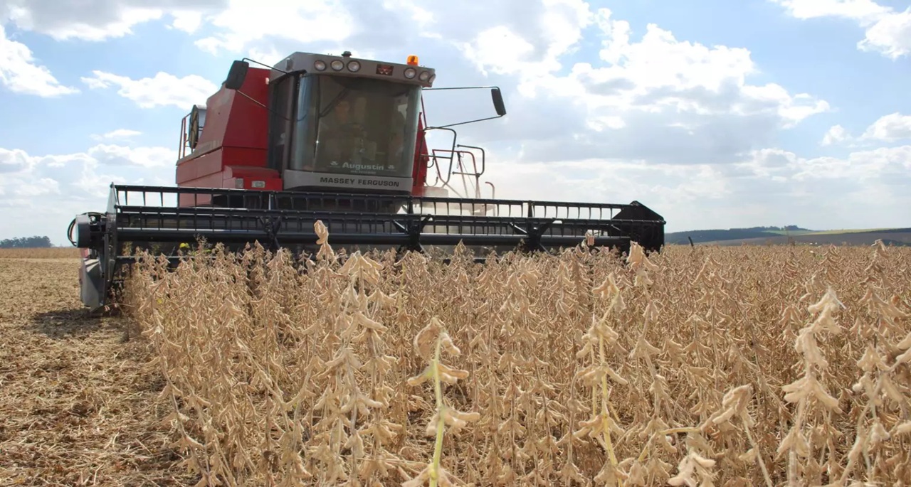 Colheita de Soja no RS