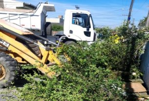 Cronograma de Retiradas de Podas