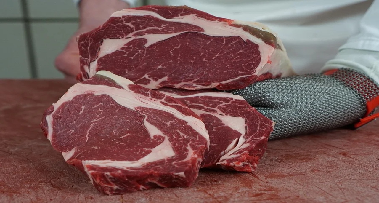 carne bovina brasileira