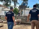 Investigação aponta organização criminosa interestadual