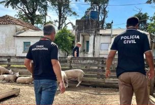 Investigação aponta organização criminosa interestadual