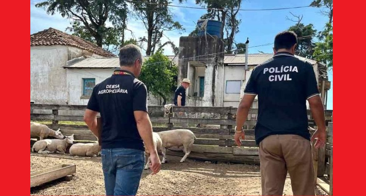 Investigação aponta organização criminosa interestadual