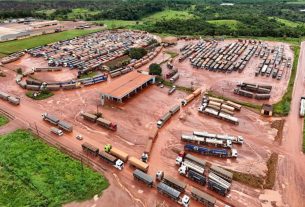 Petrobras cancelar leilões