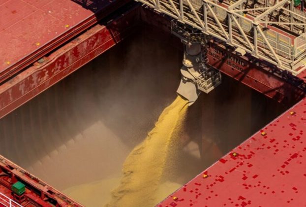 Graneleiro carregado com soja no porto de Paranaguá, Paraná,