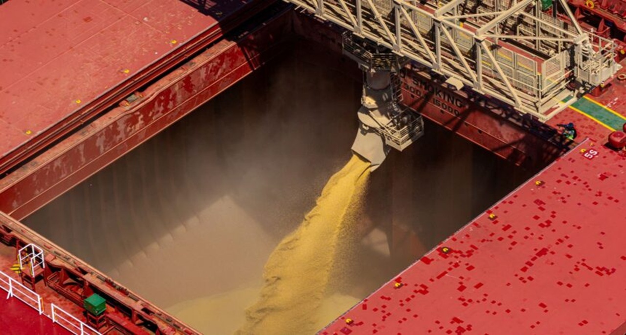 Graneleiro carregado com soja no porto de Paranaguá, Paraná,