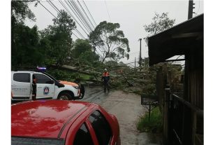 Vendaval - Foto Alina Souza